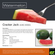 Leaflet Cracker Jack