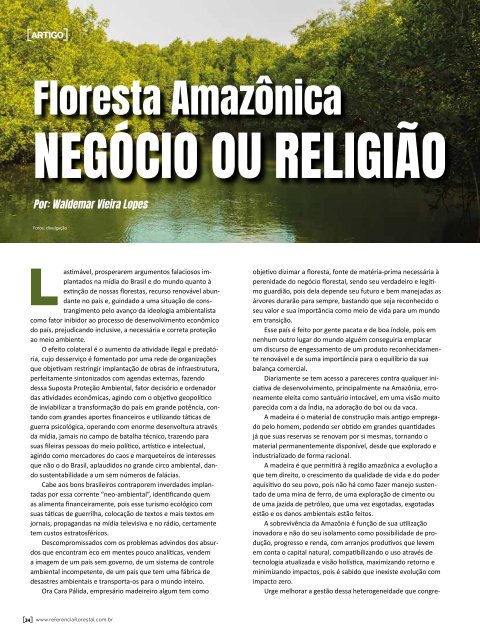 *Novembro/2019 - Referência Florestal 213