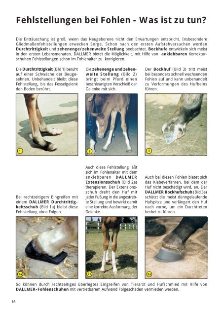 Programm 2012-24seitig-c.pmd - Dallmer Hufschuhe