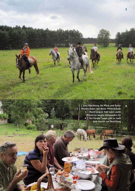 Grenzenlos reiten, Pferdezucht und Reitsport www.pferdeland ...