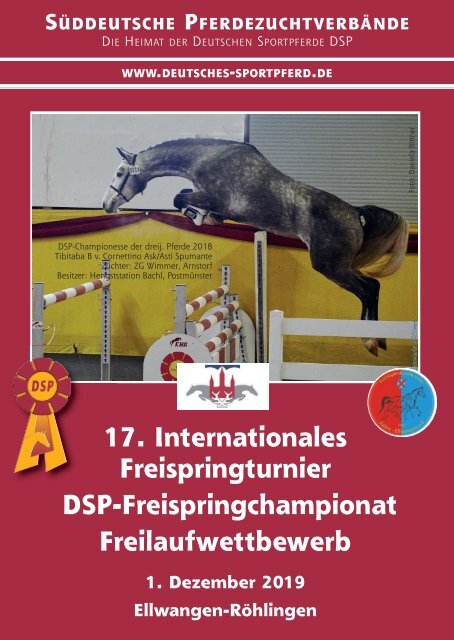 DSP-Freispringchampionat am 1. Dezember 2019