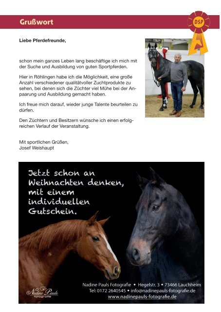 DSP-Freispringchampionat am 1. Dezember 2019