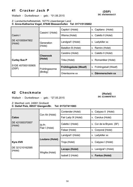 DSP-Freispringchampionat am 1. Dezember 2019