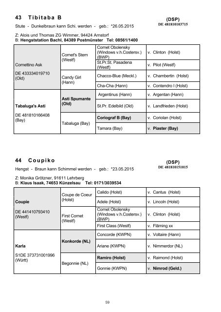 DSP-Freispringchampionat am 1. Dezember 2019