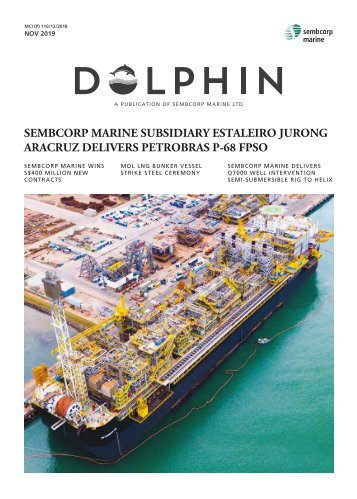 Dolphin November 2019