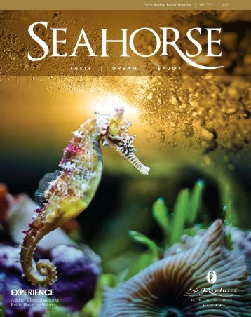 Seahorse Issue 5