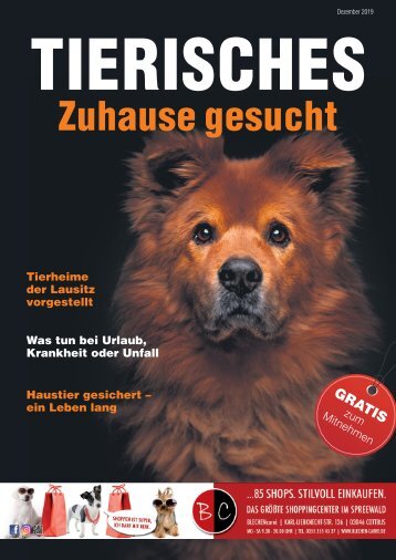 Tierisches Zuhause gesucht