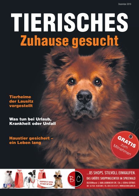 Tierisches Zuhause gesucht