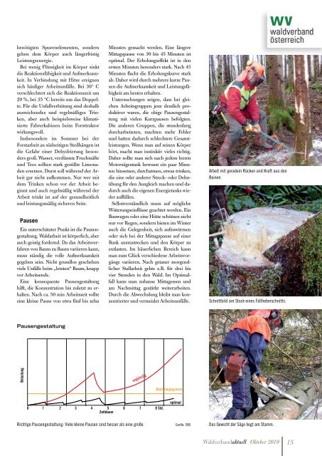 Waldverband Aktuell - Ausgabe 2019-04