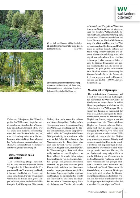 Waldverband Aktuell - Ausgabe 2019-04