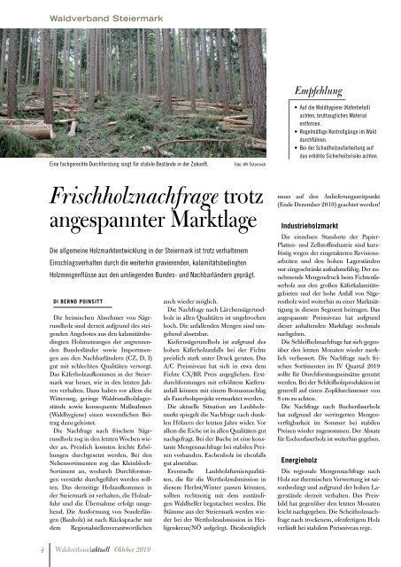 Waldverband Aktuell - Ausgabe 2019-04