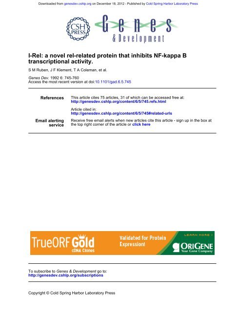 I-Rel: a novel rei-related protein that inhibits NF-KB transcriptional ...