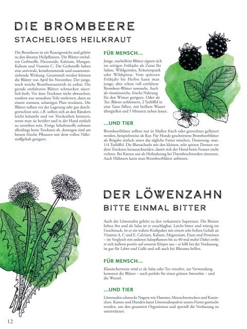 defu Magazin: Tier & Leben - 2019