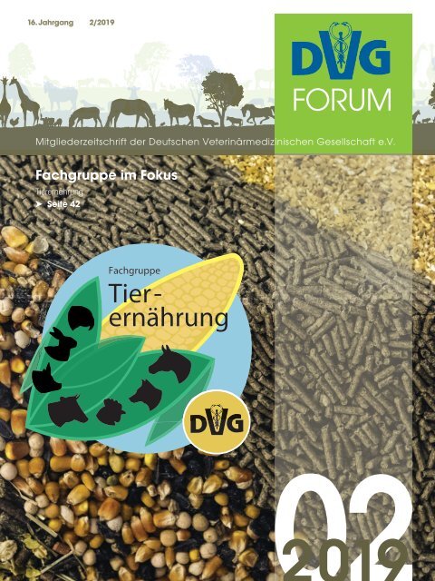 DVG_FORUM_2_2019_ONLINE