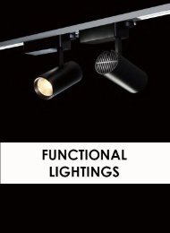 Functional Lightings