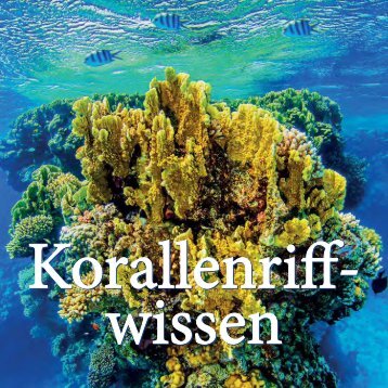 Korallenriffwissen