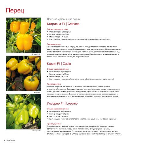Каталог семян овощных культур для пленочных теплиц и открытого грунта 2019 | 2020