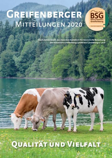 BSG - Mitteilungsblatt 2020