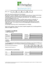 2012 Benchmark Fragebogen
