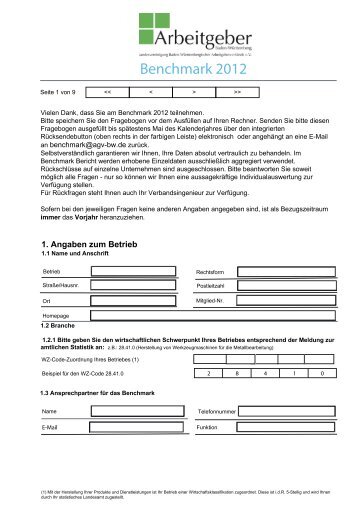 2012 Benchmark Fragebogen