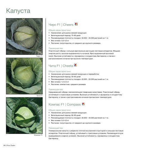 В таблице представлена урожайность капусты в 2025