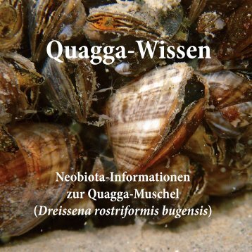 Quagga-Wissen