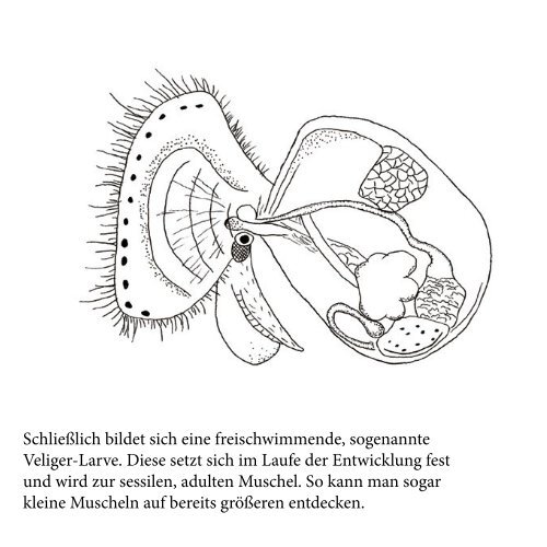 Quagga-Wissen