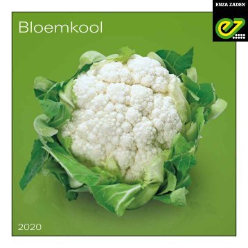 Bloemkool 2020