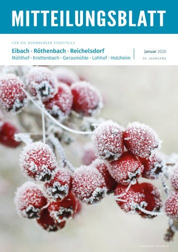 Nürnberg-Eibach/Reichelsdorf/Röthenbach - Januar 2020