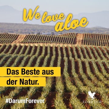 DarumForever Broschüre