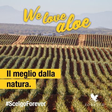 ScelgoForever brochure