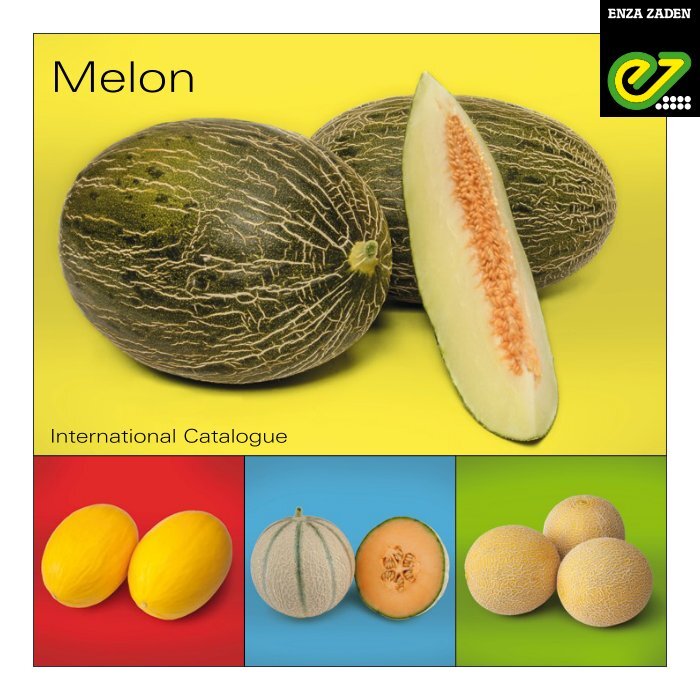 International Catalogue Melon