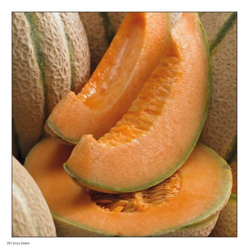 International Catalogue Melon