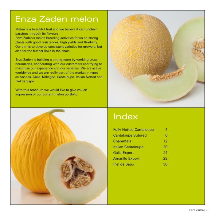 Enza Zaden melon