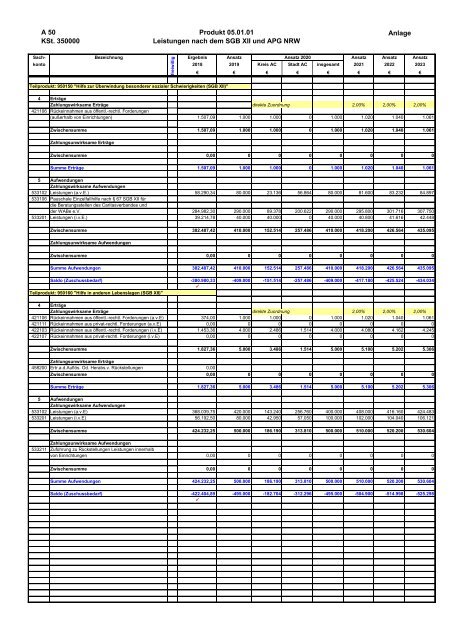 Haushalt der StädteRegion 2020 Dezernat III - Soziales und Gesundheit