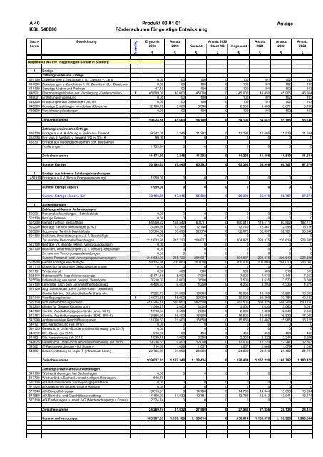 Haushalt der StädteRegion Aachen 2020 - Dezernat V - Bildung, Jugend und Strukturentwicklung