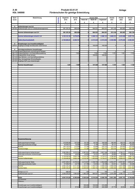 Haushalt der StädteRegion Aachen 2020 - Dezernat V - Bildung, Jugend und Strukturentwicklung