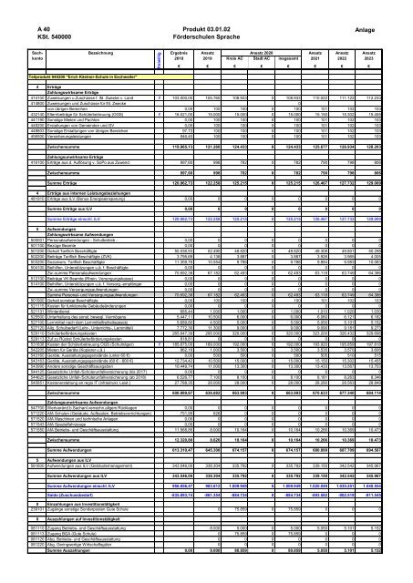 Haushalt der StädteRegion Aachen 2020 - Dezernat V - Bildung, Jugend und Strukturentwicklung