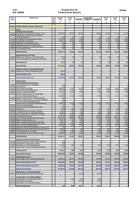 Haushalt der StädteRegion Aachen 2020 - Dezernat V - Bildung, Jugend und Strukturentwicklung