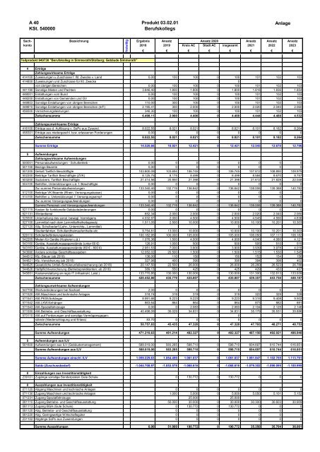 Haushalt der StädteRegion Aachen 2020 - Dezernat V - Bildung, Jugend und Strukturentwicklung