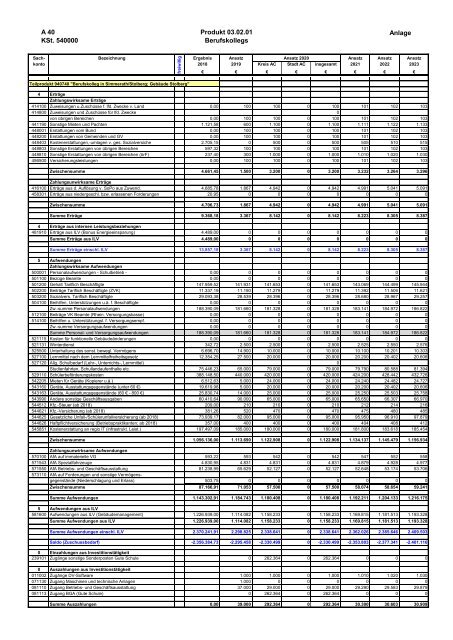 Haushalt der StädteRegion Aachen 2020 - Dezernat V - Bildung, Jugend und Strukturentwicklung