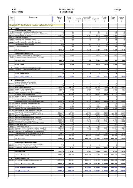 Haushalt der StädteRegion Aachen 2020 - Dezernat V - Bildung, Jugend und Strukturentwicklung