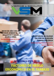 Edición 10. Enero 2020. Revista Verde & Segura Manufactura