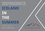 Summer School in Iceland brochure design