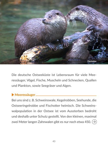 Ausgabe 01/2020