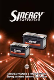 SINERGY CATALOG STARTING