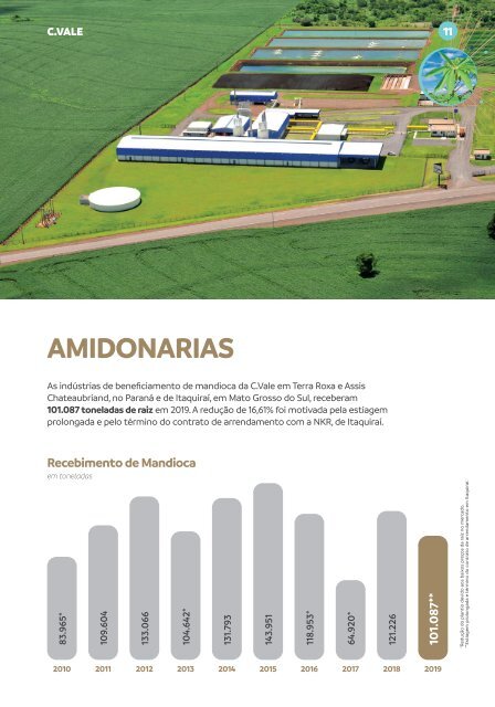 Relatório Anual 2019 - C.Vale