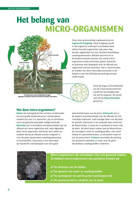 Groensector ECOzine 2021