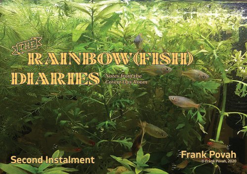 Rainbowfish Diary-2