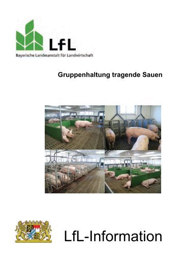 Gruppenhaltung tragender Sauen - Bayerische Landesanstalt für ...